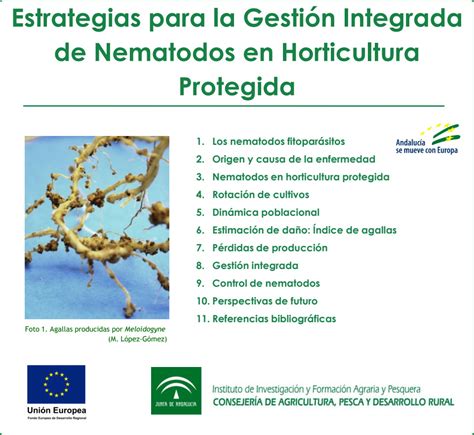 Estrategias para la Gestión Integrada de Nematodos en Horticultura