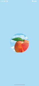 peach state fcu mobile banking apps  google play