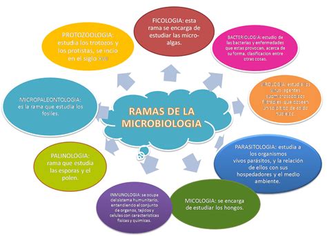 Mapa Mental De Microbiologia REVOEDUCA