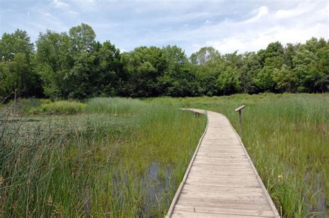 North Park Village Nature Center Em Chicago 2024 Dicas Incríveis