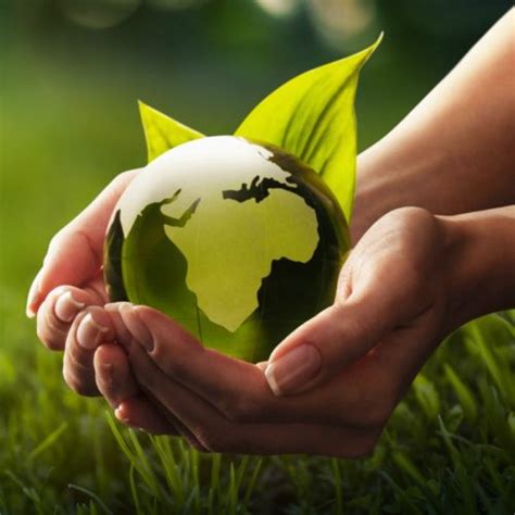 Top 10 Ways To Protect The Environment Save Our Environment At Home