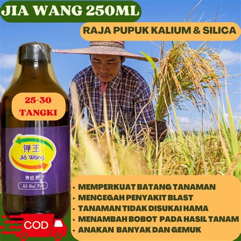 Jual Pupuk Kalium Silica Penambah Bobot Pada Tanaman Jia Wang Ml