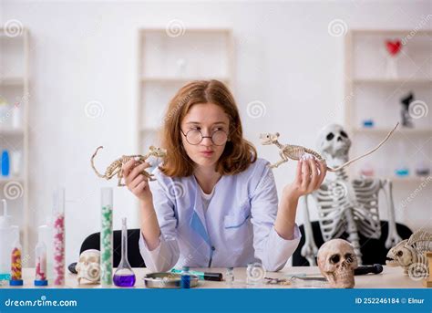 Young Female Zoologist Working At The Lab Stock Photo Image Of