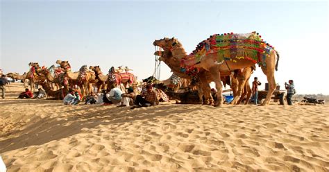 Experience Rajasthan Desert Safari Packages