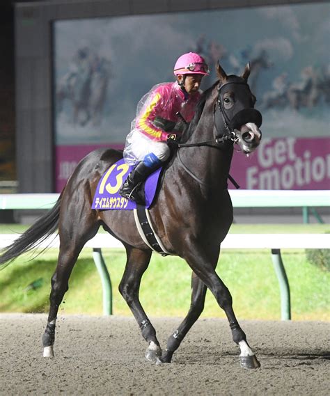 テイエムサウスダン連覇へ「去年勝っているので舞台は合う」蛯名正師／根岸s 競馬写真ニュース 日刊スポーツ