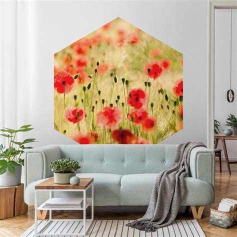 Summer Poppies Hexagon Fototapete Bilderwelten