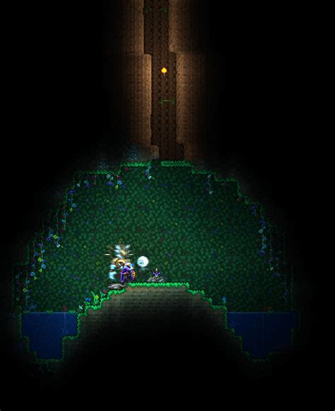 Found A Sword Shrine At The Bottom Of A Living Tree Rterraria