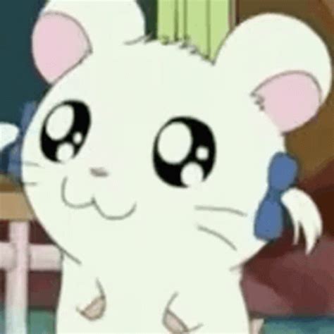 Hamtaro Sad Hamtaro Sad Uwu Discover Share GIFs