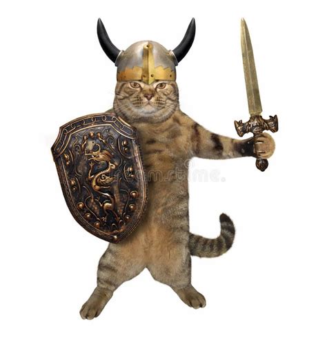 Cat with sword and shield stock photo. Image of iron - 120613786