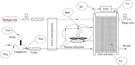 Schematic Of Pem Fuel Cell System Download Scientific Diagram