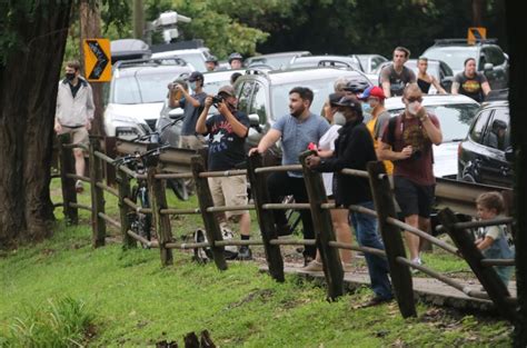 Photos Philly Naked Bike Ride 2021 With Clothes Off Masks On On Top Of Philly News