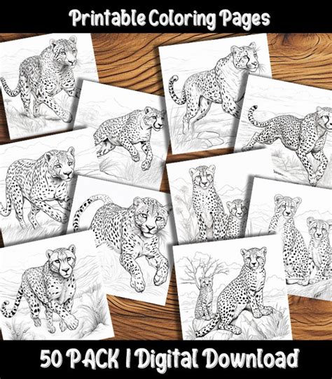 Cheetah Coloring Pages Printable 50 Pack | Happy Colorist