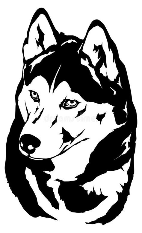 Husky head silhouette stock illustration. Illustration of veterinary ...