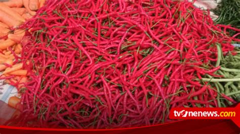 Jelang Ramadhan Cabai Merah Sentuh Rp Ribu Per Kg Yang Lain Stabil