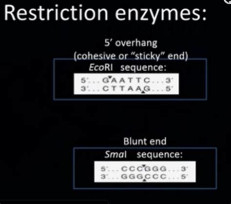 Module 6 Bioinformatics DNA Sequence Analysis Flashcards Quizlet