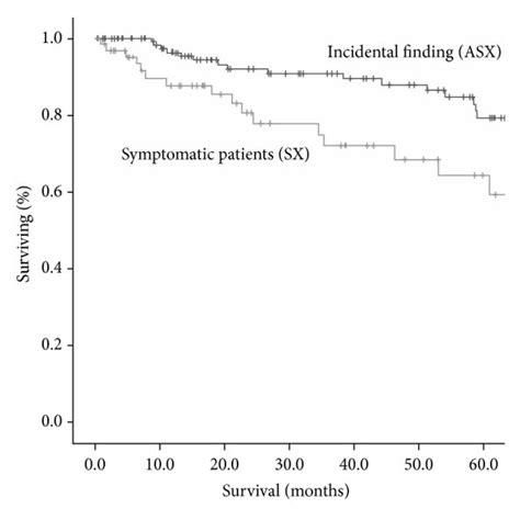 Overall Survival Curves Of Patients With Lung Cancer The Year