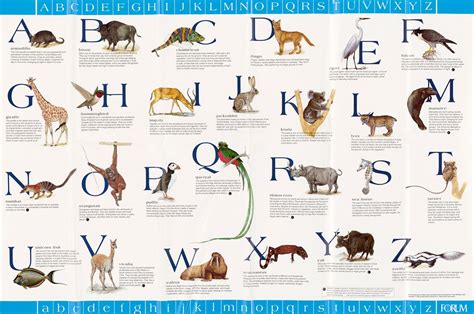 Alphabet-Animals Chart by U.S. Information Agency - Artvee