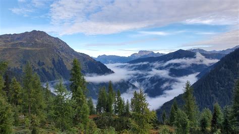 Habitats For Grouse Sporthotel Silvretta Montafon