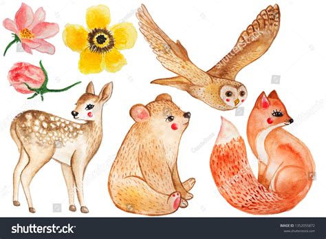 Watercolor Woodland Collection Stock Illustration 1352055872 | Shutterstock