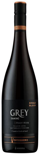 Ventisquero Grey Glacier Las Terrazas Vineyard Pinot Noir Vivino