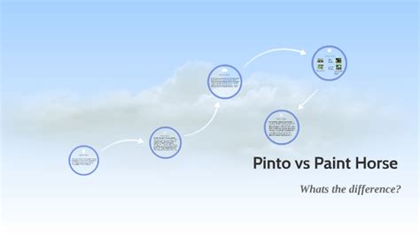 Pinto vs Paint by Sophie Marchant