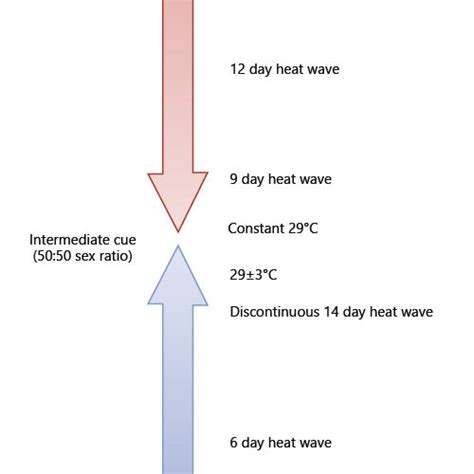 Schematic Representation Of The Effects Of The Relative Strengths Of Download Scientific