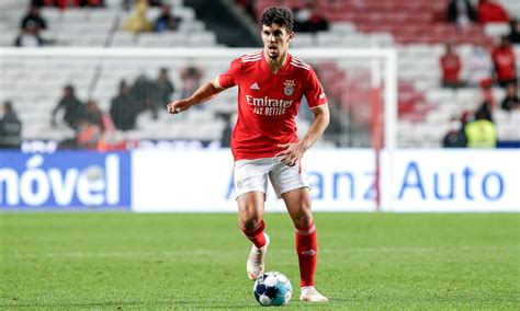 Fabrizio Romano On Twitter Several Clubs Are Interested In Benfica S