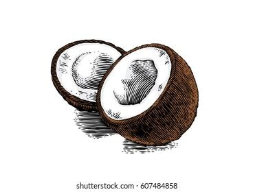 2,381 Coconut Shell Draw Images, Stock Photos & Vectors | Shutterstock