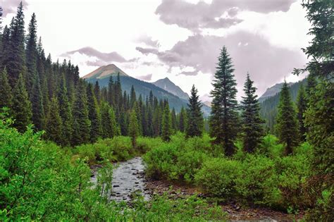 Hiking And Camping Southwest Colorado Cascade Creek Trail
