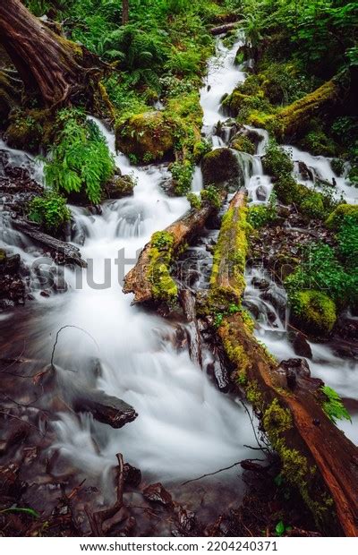 Multnomah Falls Waterfalls Corridor Oregon Stock Photo 2204240371