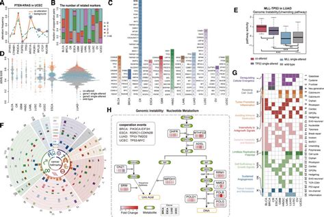 Characterization Of Genomic Patterns And Functional Effects For Gene