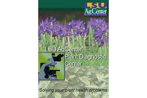 Lsu Agcenter Plant Diagnostic Center Brochure