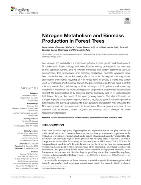 PDF Nitrogen Metabolism And Biomass Production In Forest Trees