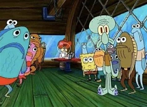 Silly Zoom Backgrounds for Your Next Video Call | NexiGo