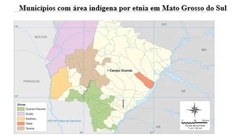 Tudo Sobre Educa O Hist Ria Etnias Ind Genas De Mato Grosso Do Sul