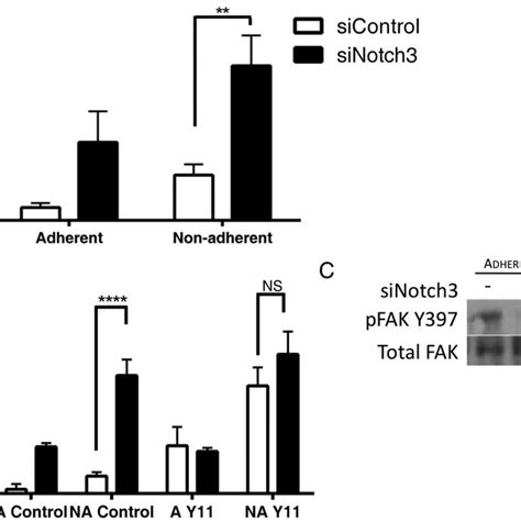 Notch3 Promotes Anoikis Resistance A Cells Treated With Control Or