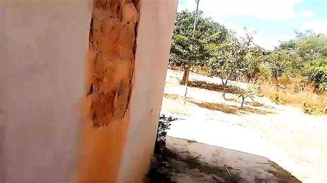 Homemade Loving Zambian Celebrity Celebrity Porn Xhamster