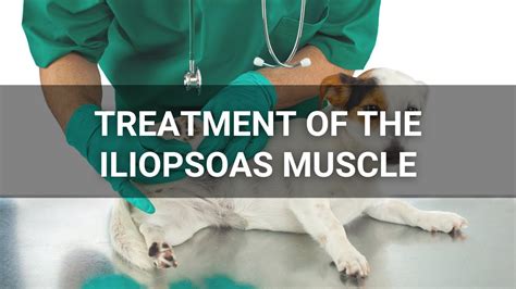 Treatment Of Iliopsoas Injuries With Manual Therapy Shockwave Therapy