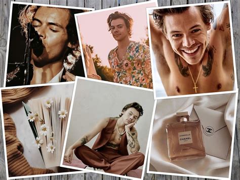 Harry Styles Wall Collage Kit Neutral Beige Aesthetic Room Etsy