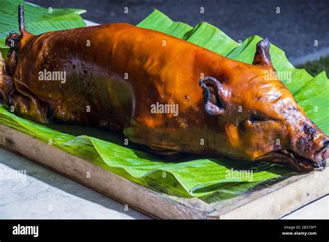 Ready To Eat Roasted Suckling Pig Ubud Bali Indonesia Stock Photo Alamy