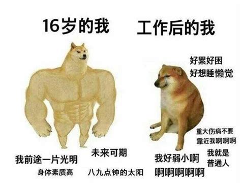 肌肉柴犬与cheems表情包 哔哩哔哩