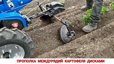 ПРОПОЛКА КАРТОФЕЛЯ МОТОБЛОКОМ ДИСКОВЫМИ ОКУЧНИКАМИ - YouTube