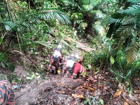 Pemandu Lori Cedera Jatuh Gaung 50 Meter MG Perak