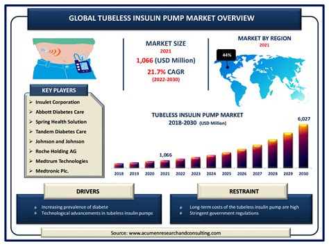 Tubeless Insulin Pump Market Size Share And Trends 2030