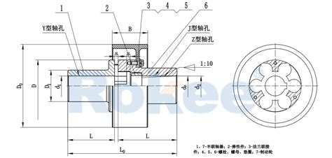 Lmz I Mll I Plum Shaped Flexible Coupling Rokee