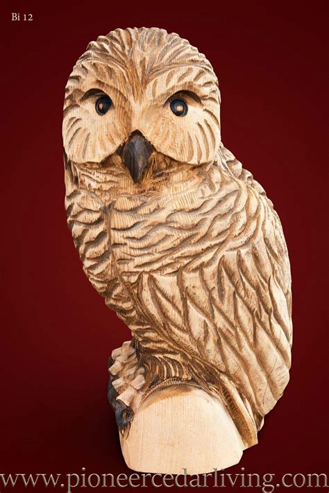 Owl Chainsaw Carving Pioneer Cedar Living