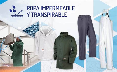 Arriba 37 Imagen Caracteristicas De La Ropa Abzlocal Mx