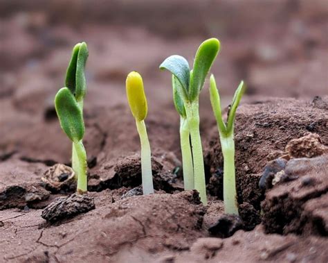 ways  grow   infrastructure