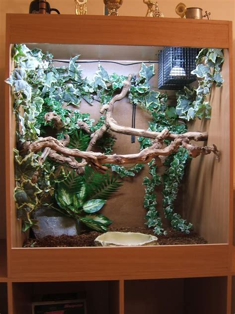 Diy Reptile Reptile Room Reptile Habitat Reptile Tank Chameleon