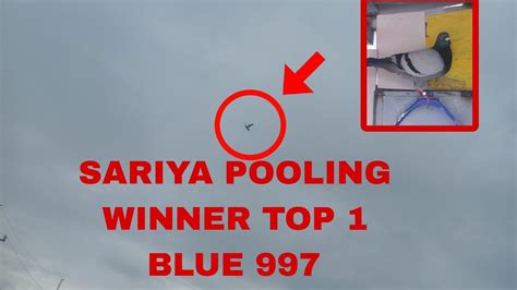 POOLING WINNER TOP1 SARIAYA QUEZON YouTube